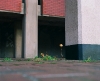 25050007.jpg
